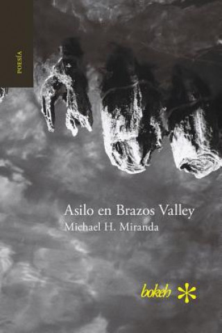 Carte Asilo en Brazos Valley MICHAEL H. MIRANDA