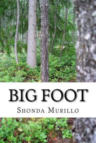 Buch Big Foot Shonda Murillo