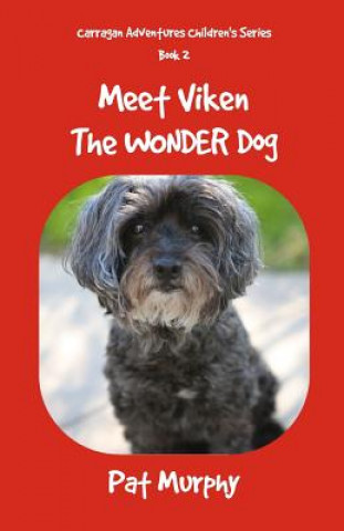 Kniha Meet Viken-The Wonder Dog Pat Murphy