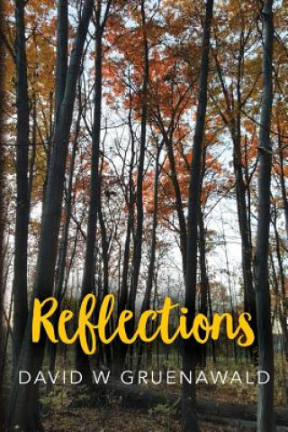 Knjiga Reflections David W Gruenawald