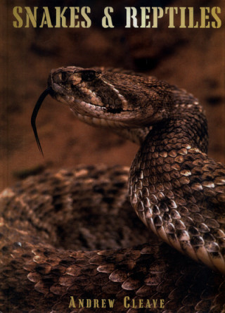 Buch Snakes & Reptiles Andrew Clarke