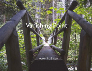 Buch Vanishing Point Aaron Ellison