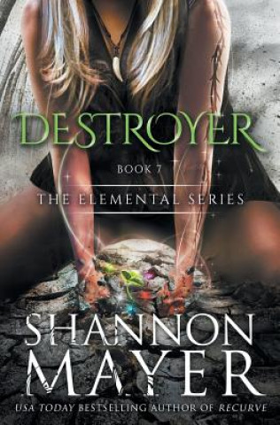 Book Destroyer Shannon Maybe