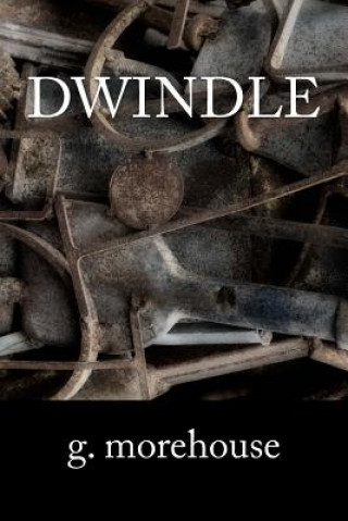 Kniha dwindle G Morehouse