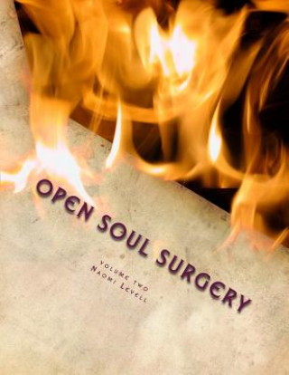 Knjiga Volume Two, Open Soul Surgery, deluxe large print color edition: Seven Flames: Letters to Manasseh Mrs Naomi Levell