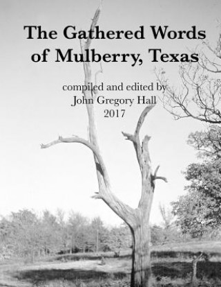 Könyv The Gathered Words of Mulberry, Texas John Gregory Hall