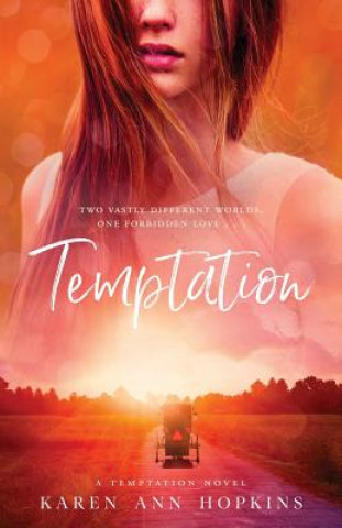 Kniha Temptation Karen Ann Hopkins