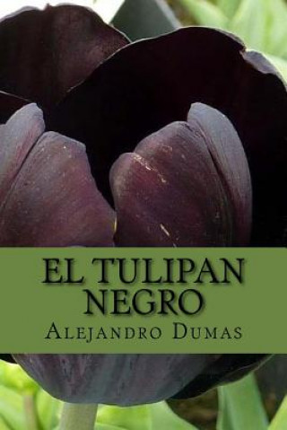 Kniha El Tulipan Negro (Spanish) Edition Alejandro Dumas