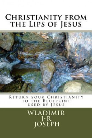 Libro Christianity from the Lips of Jesus: Return your Christianity to the Blueprint used by Jesus (Vol 1) Wladimir J Joseph