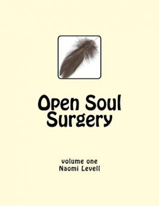 Książka Vol. 1, Open Soul Surgery, large print edition Mrs Naomi Levell