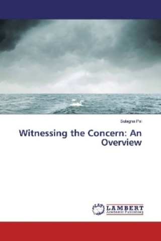 Książka Witnessing the Concern: An Overview Sulagna Pal