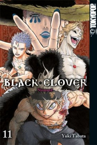 Kniha Black Clover 11 Yuki Tabata