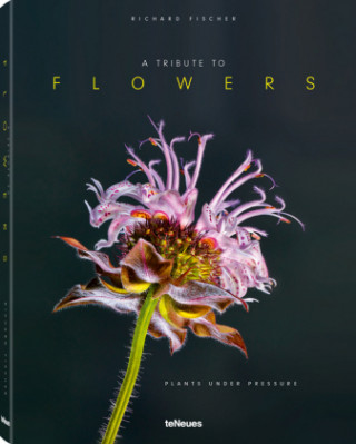 Carte Tribute to Flowers Richard Fischer