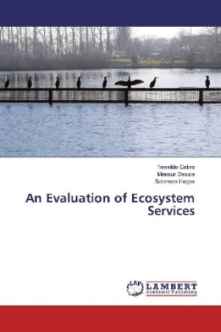 Buch An Evaluation of Ecosystem Services Tewelde Gebre