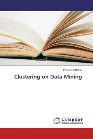 Könyv Clustering on Data Mining Parasian Silitonga