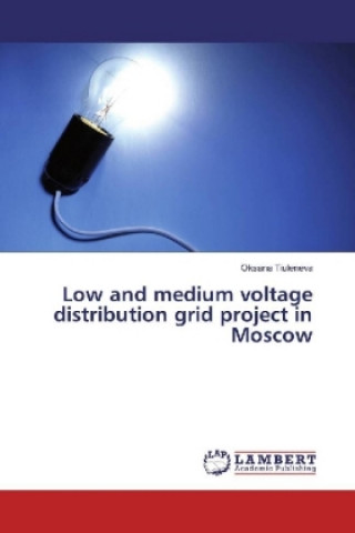 Βιβλίο Low and medium voltage distribution grid project in Moscow Oksana Tiuleneva