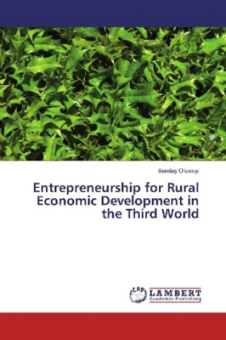 Książka Entrepreneurship for Rural Economic Development in the Third World Sunday Olawuyi