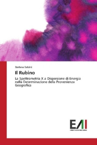 Buch Il Rubino Stefano Salvini