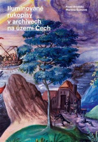 Kniha Iluminované  rukopisy v archivech na území Čech Pavel Brodský