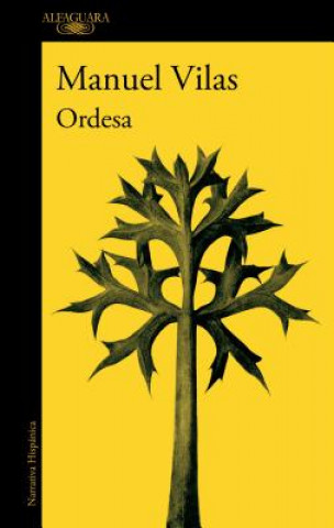 Könyv Ordesa (Spanish Edition) MANUEL VILAS