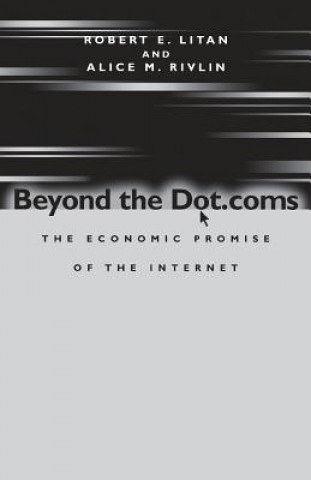 Kniha Beyond the Dot.coms Robert E. Litan