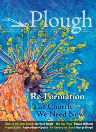 Kniha Plough Quarterly No. 14 - Re-Formation Jin S Kim
