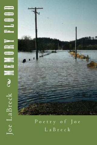 Book Memory Flood Joe Labreck