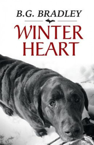 Buch Winter Heart B G Bradley