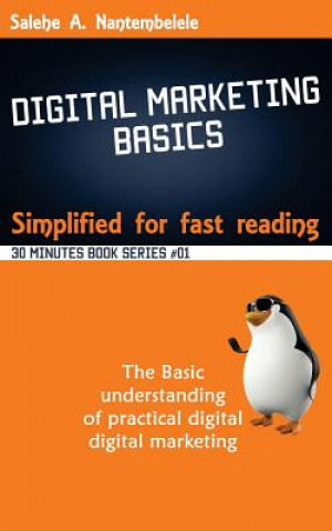 Kniha Digital Marketing Basics - Simplified for fast reading Salehe a Nantembelele