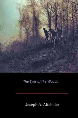 Kniha The Eyes of the Woods Joseph A. Altsheler