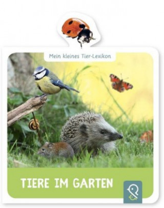 Buch Mein kleines Tier-Lexikon - Tiere im Garten Hannah Kastenhuber
