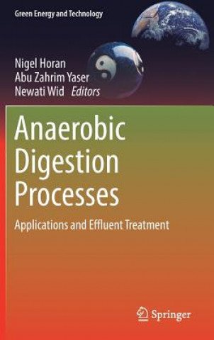 Kniha Anaerobic Digestion Processes Nigel Horan