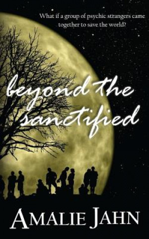 Buch Beyond the Sanctified Amalie Jahn