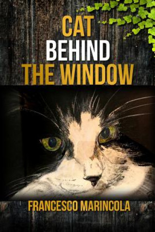 Kniha Cat Behind the Window Francesco Marincola