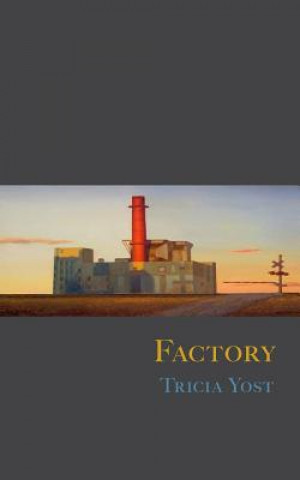 Knjiga Factory Tricia Yost
