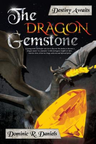 Buch The Dragon Gemstone Dominic R Daniels