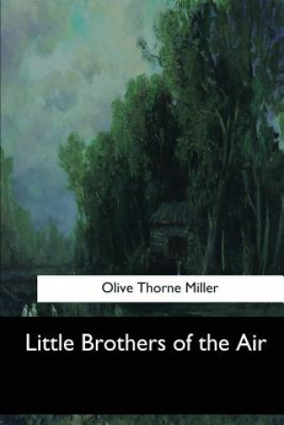 Kniha Little Brothers of the Air Olive Thorne Miller