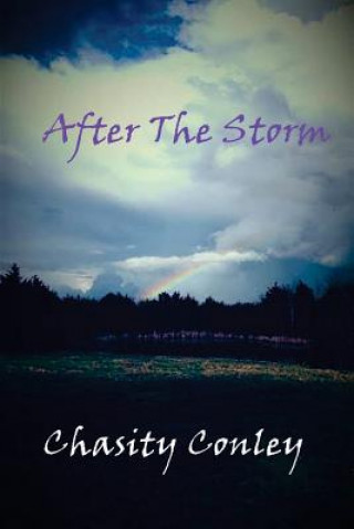 Book After The Storm Chasity Conley