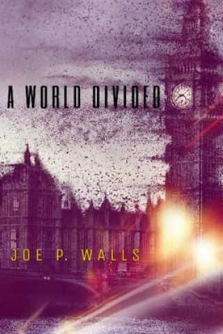 Knjiga A World Divided Joe P Walls