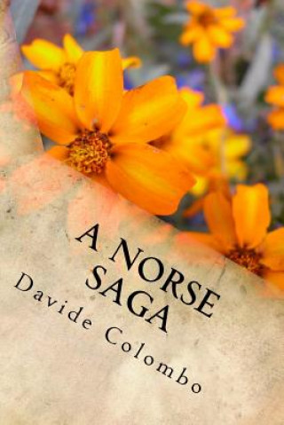 Könyv A Norse Saga Davide Colombo