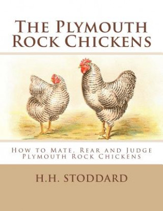 Könyv The Plymouth Rock Chickens: How to Mate, Rear and Judge Plymouth Rock Chickens H H Stoddard