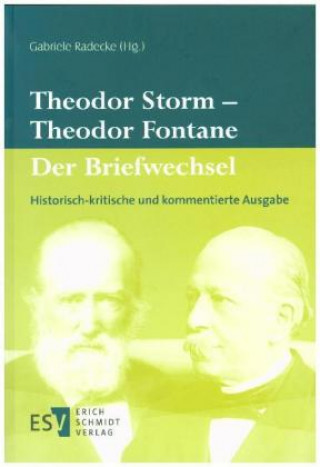 Libro Theodor Storm - Theodor Fontane: Der Briefwechsel Gabriele Radecke