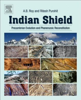 Book Indian Shield Roy