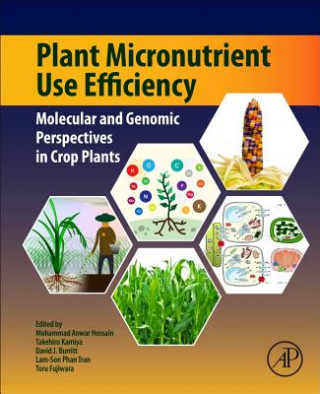 Book Plant Micronutrient Use Efficiency Mohammad Anwar Hossain