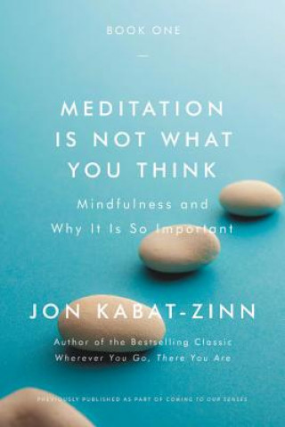 Knjiga MEDITATION IS NOT WHAT YOU THINK JON KABAT-ZINN