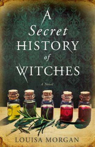 Book SECRET HISTORY OF WITCHES LOUISA MORGAN