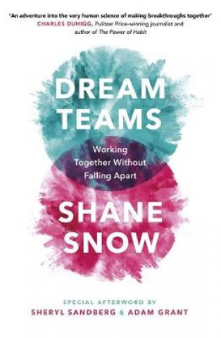 Książka Dream Teams Shane Snow