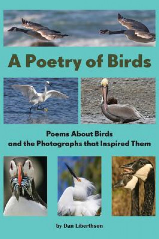 Buch Poetry of Birds DAN LIBERTHSON