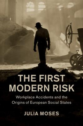 Könyv First Modern Risk MOSES  JULIA