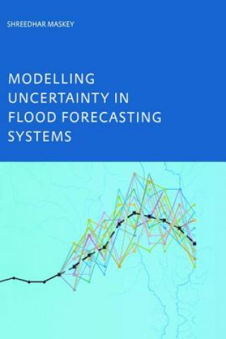 Buch Modelling Uncertainty in Flood Forecasting Systems MASKEY